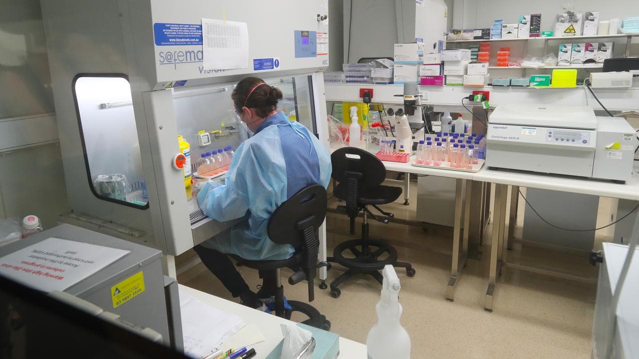 A researcher at work at the Peter Doherty Institute (file image)