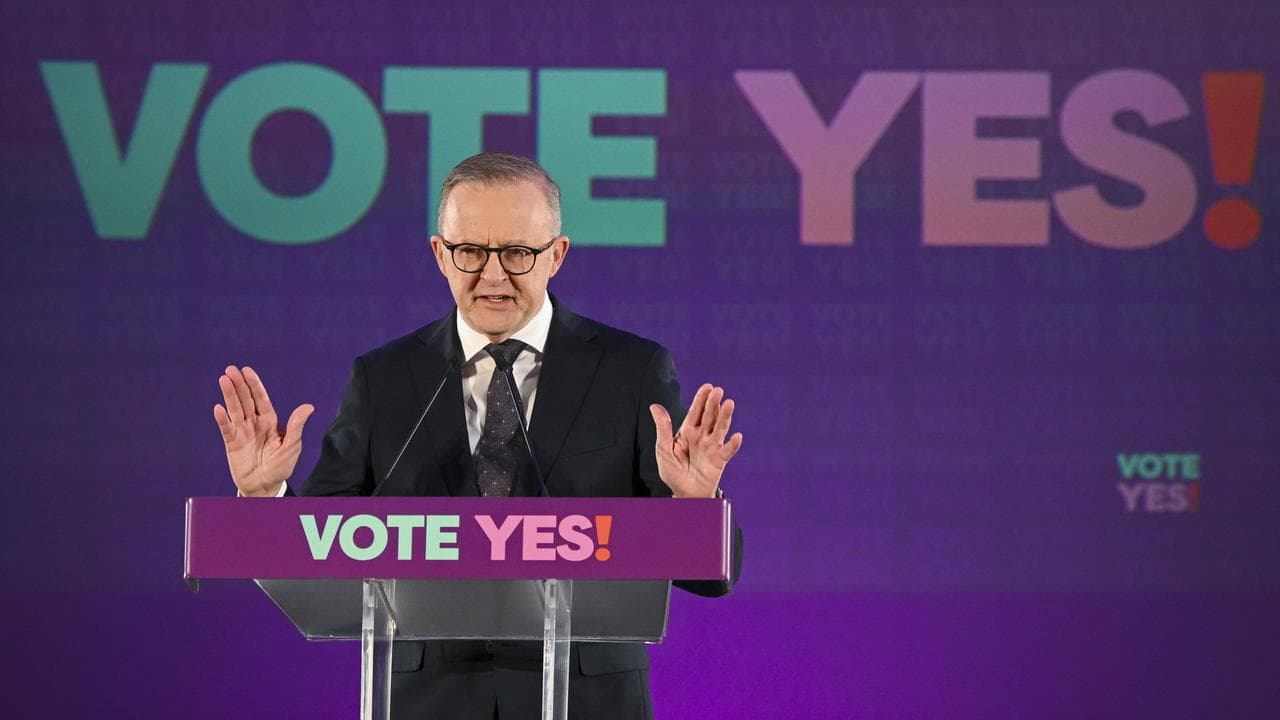 Prime Minister Anthony Albanese (file image)