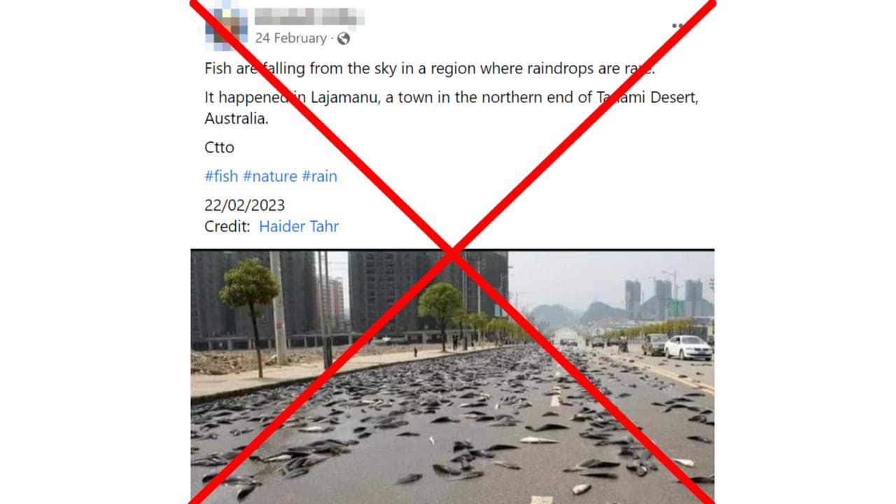 A screenshot of one of the Facebook posts.