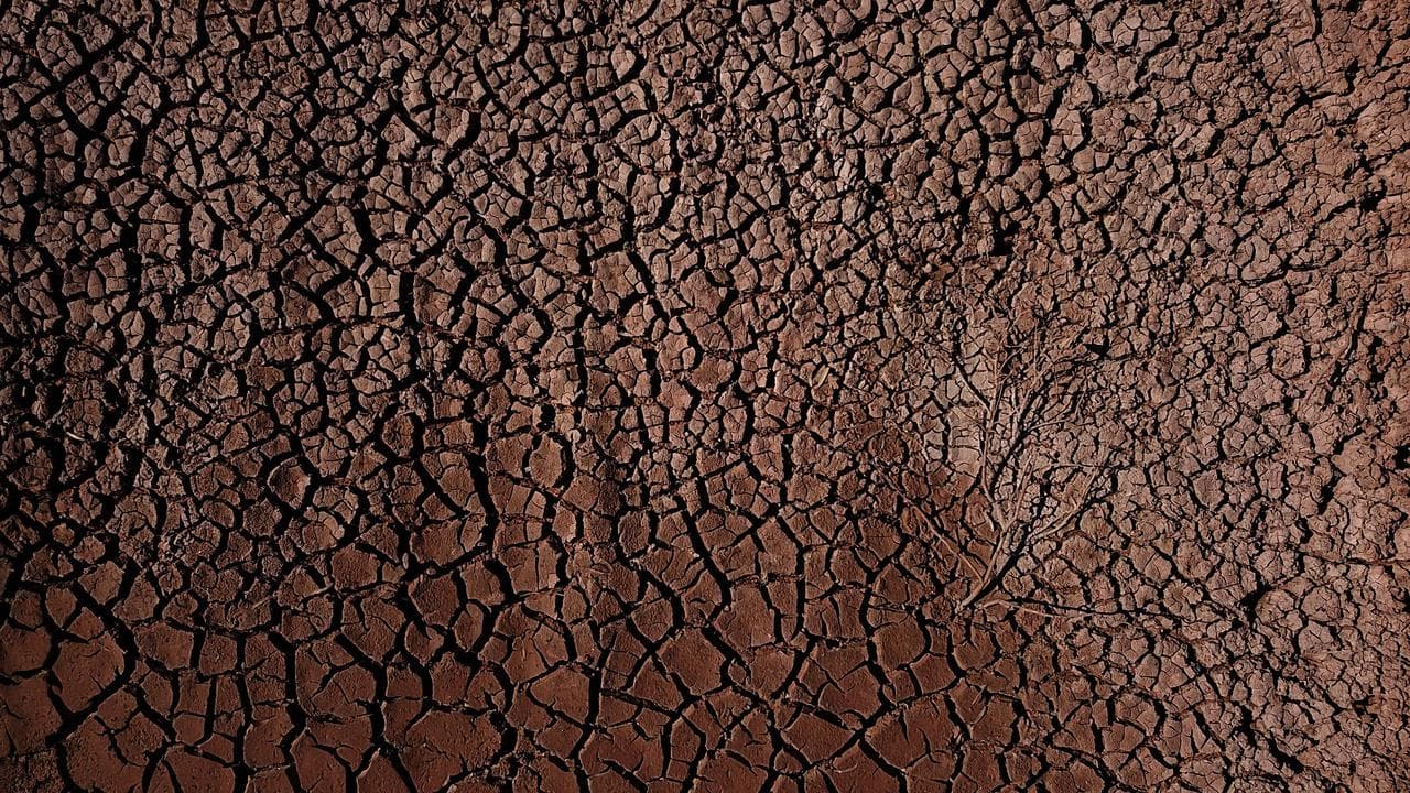 Murray Darling Basin drought