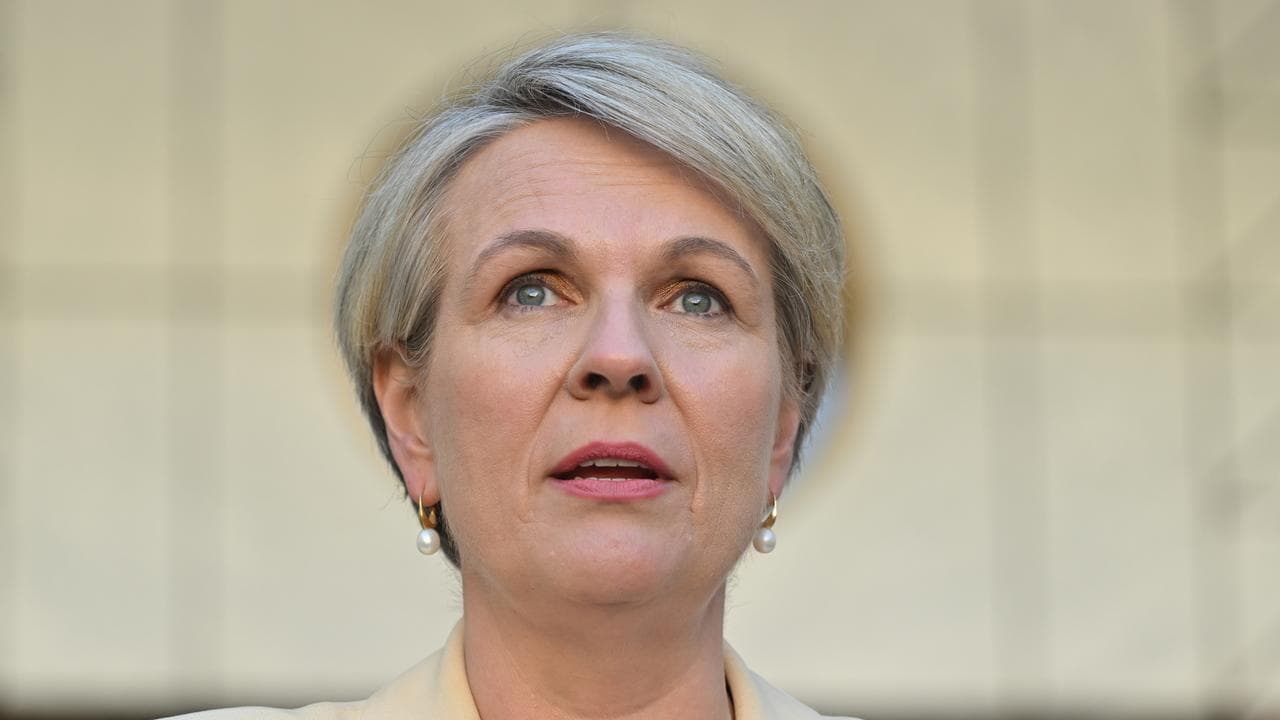 Environment Minister Tanya Plibsersek.