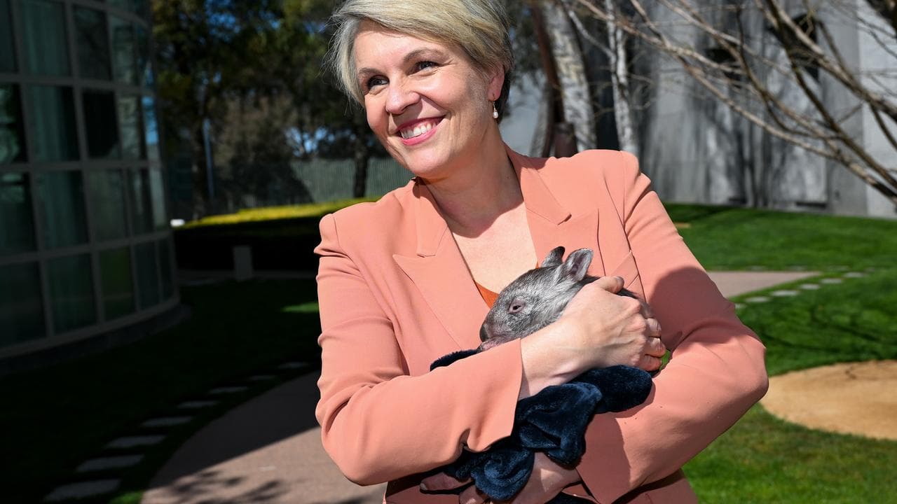Tanya Plibersek