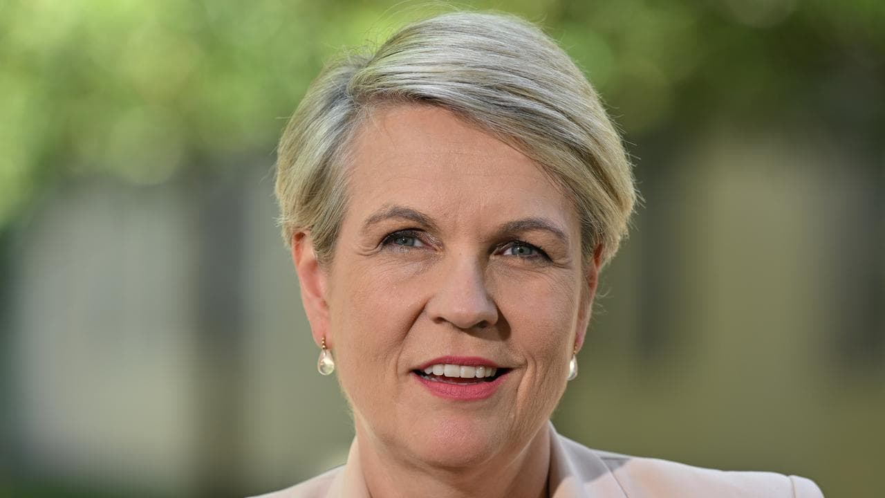 Minister for Environment Tanya Plibersek