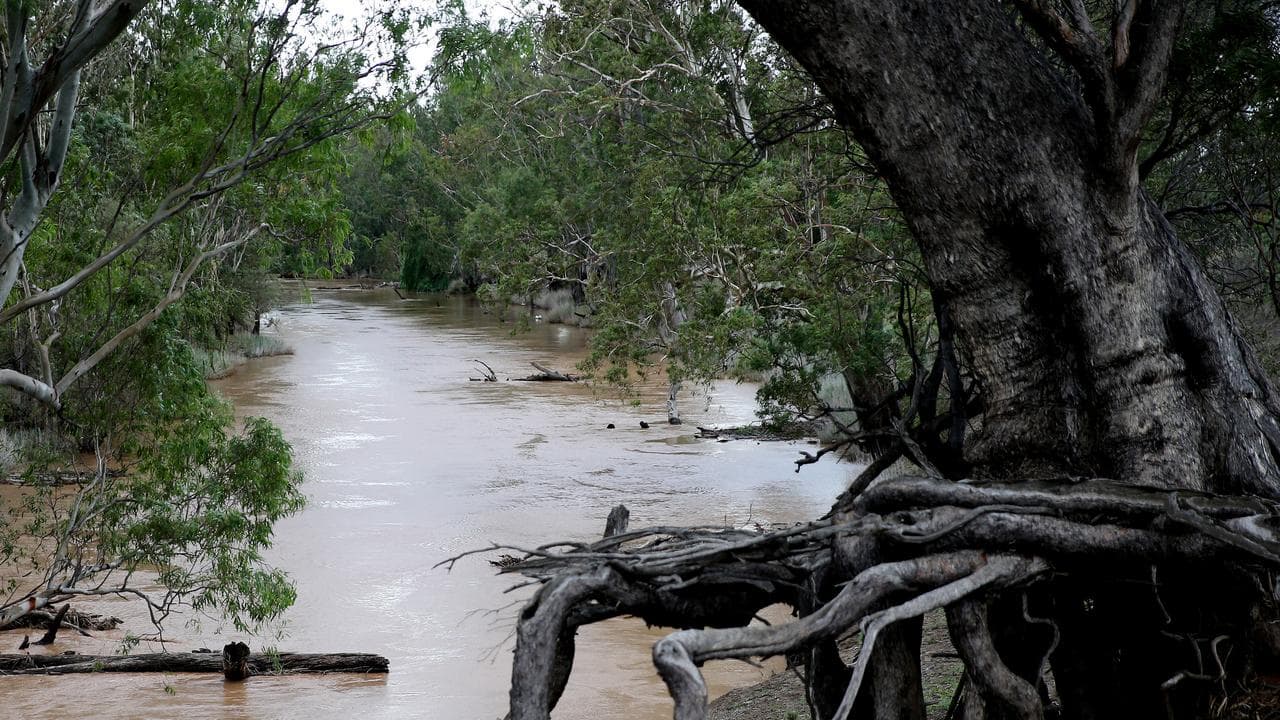The Namoi River in Gunnedah