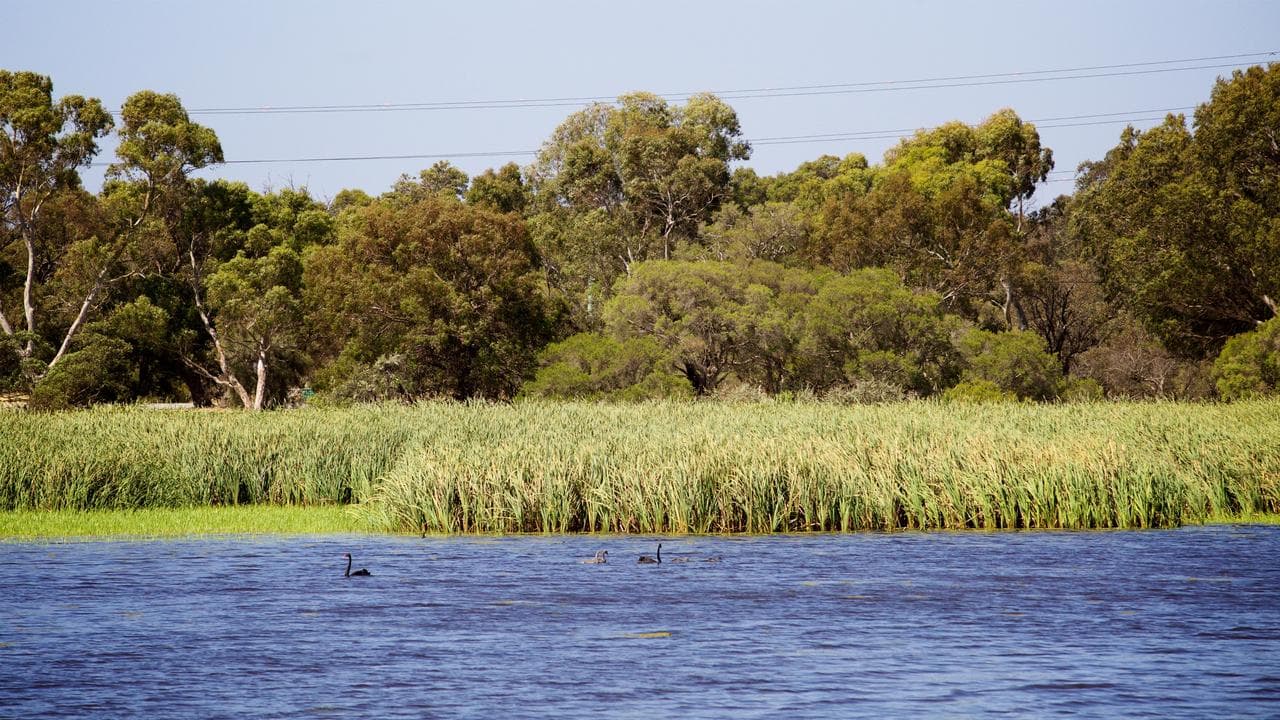 Bibra Lake in Perth