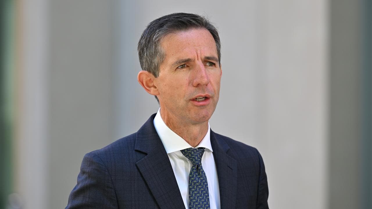 Opposition foreign affairs spokesman Simon Birmingham.