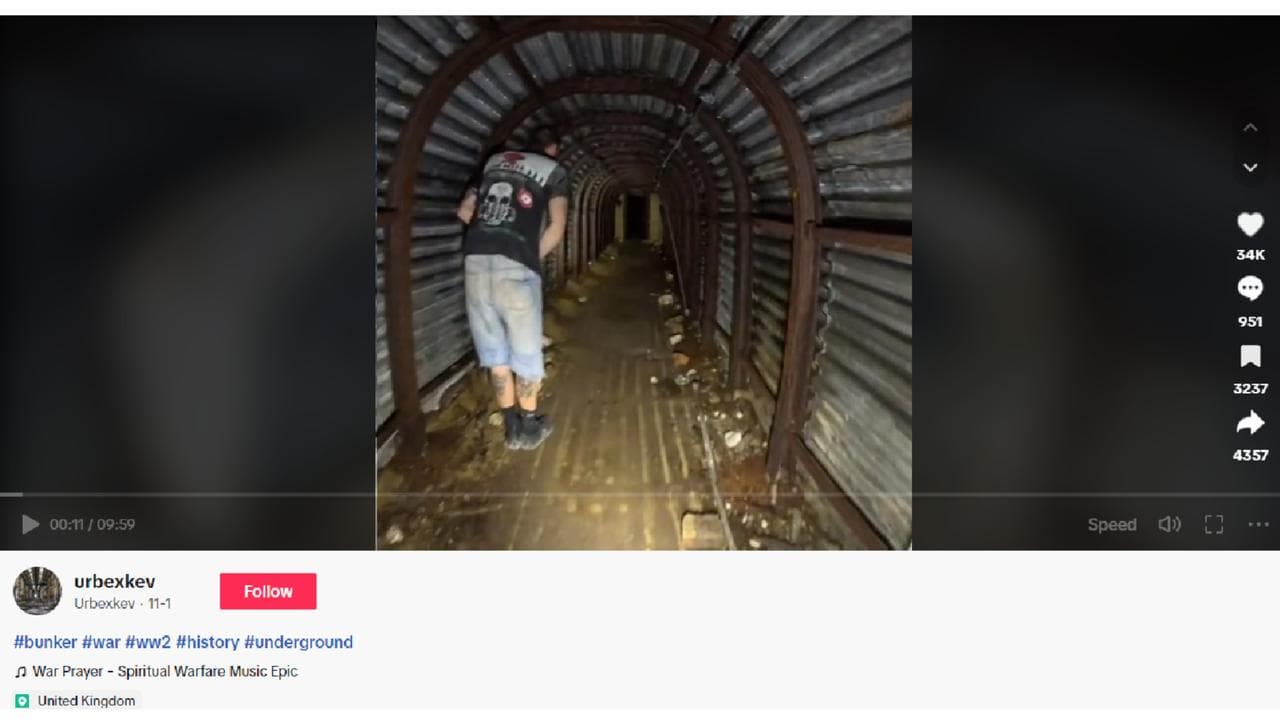 A screenshot from the original TikTok video.