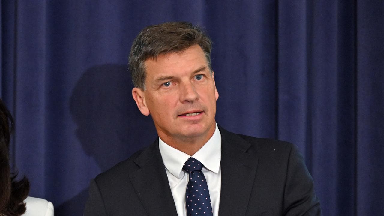 Angus Taylor 