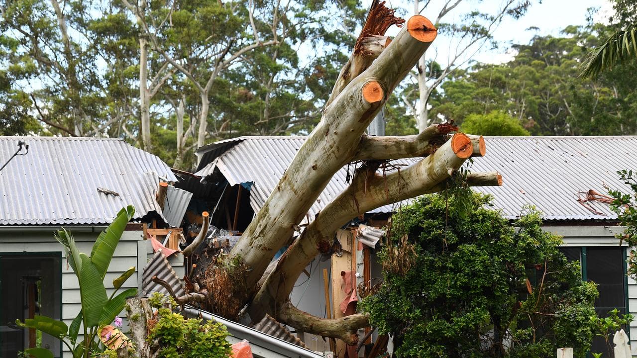 A house  in Mount Tamborine damaged by a fallen tree.