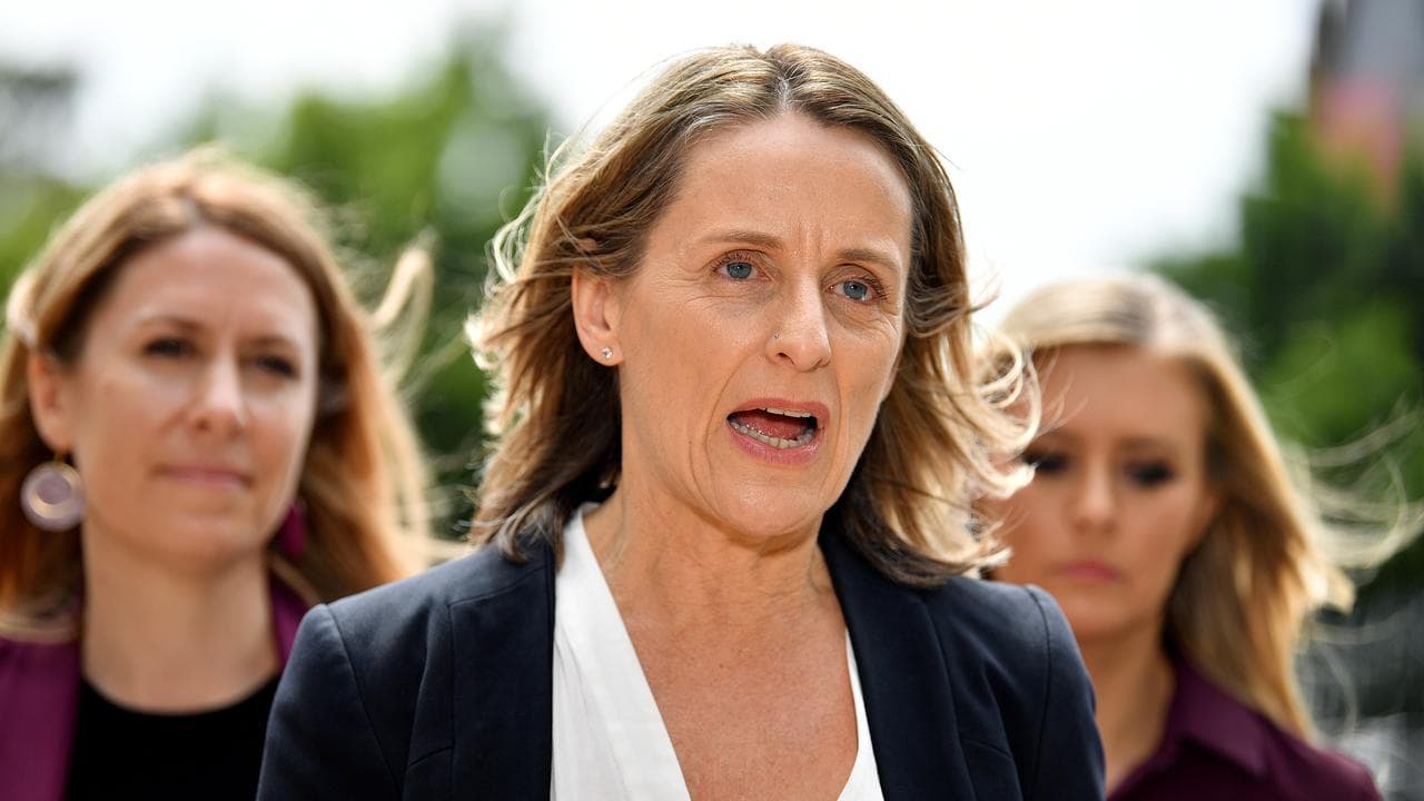 NSW Greens MP Sue Higginson (centre, file image)