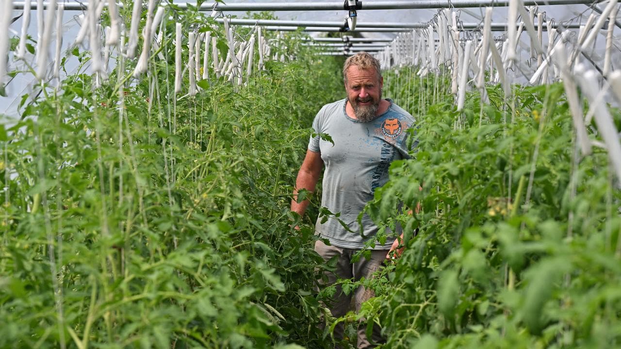 Stepping Stone Farm volunteer Matt Westcott