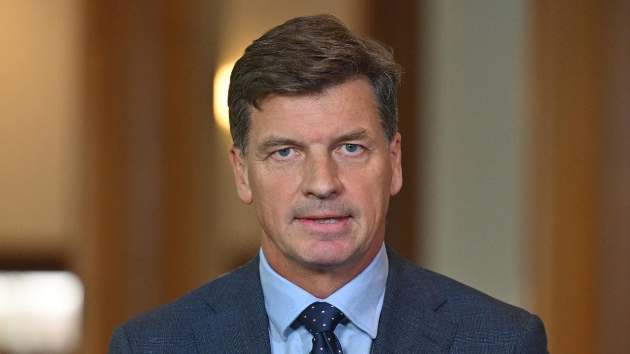 A file photo of Angus Taylor