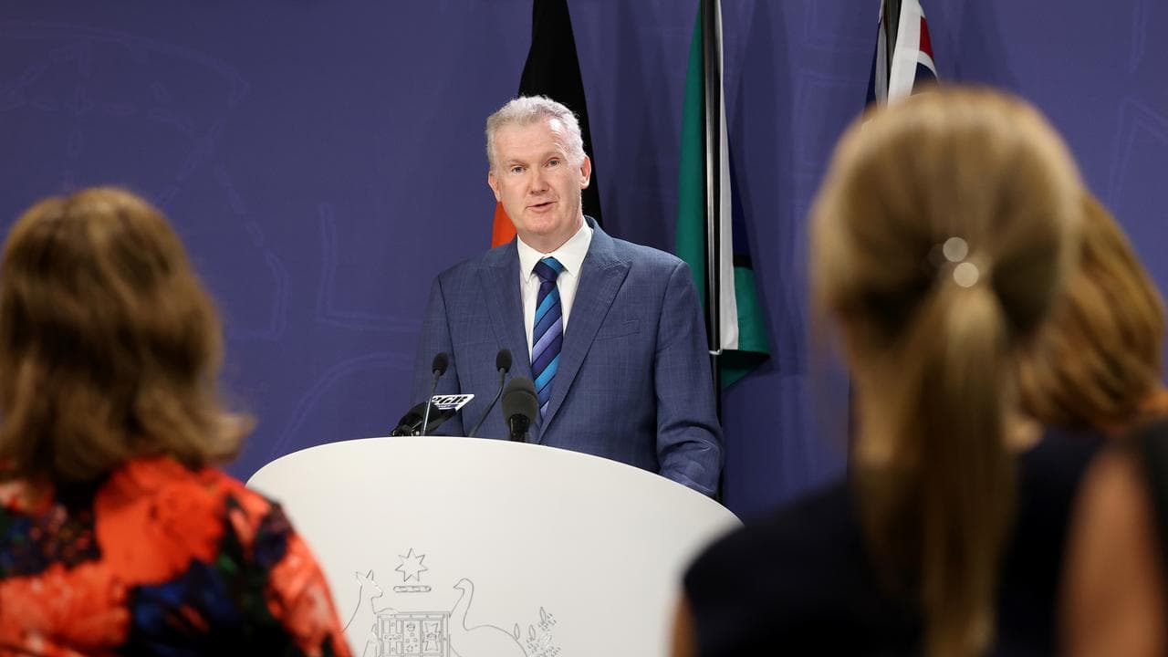 Minister for Employment and Workplace Relations Tony Burke
