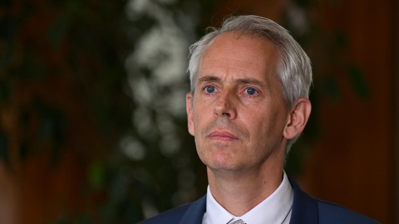 Immigration Minister Andrew Giles.