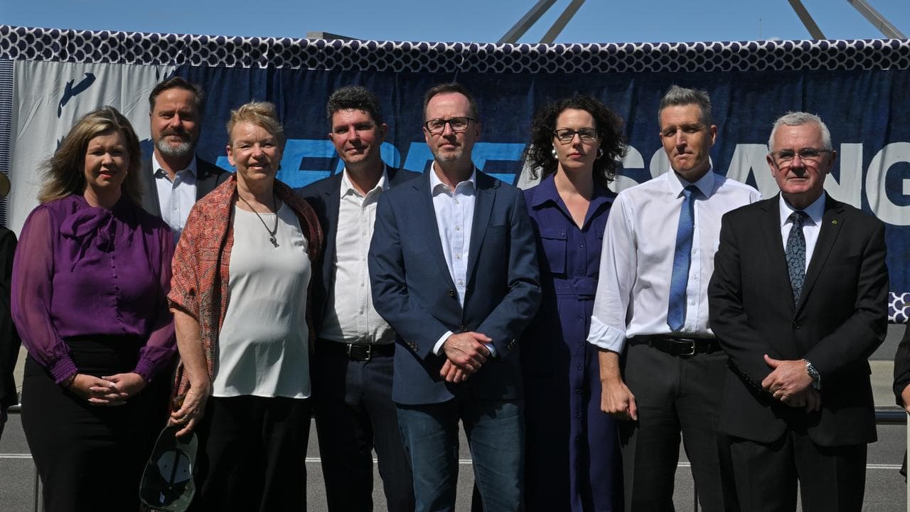 The MPs with Mr Wilkie outside parliament.