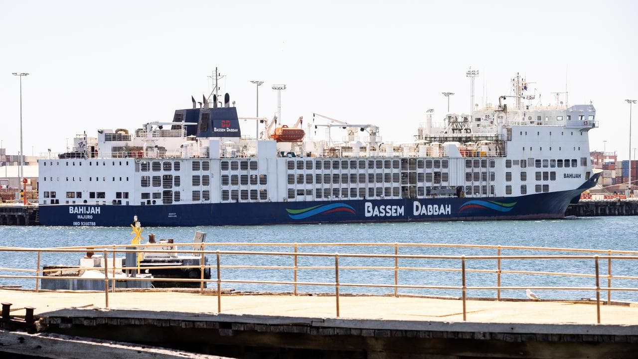 Livestock carrier at dock
