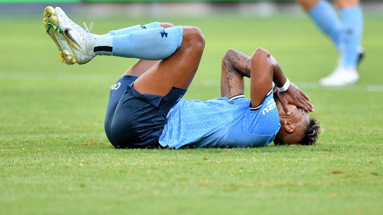 Sydney FC's Fabio Gomes