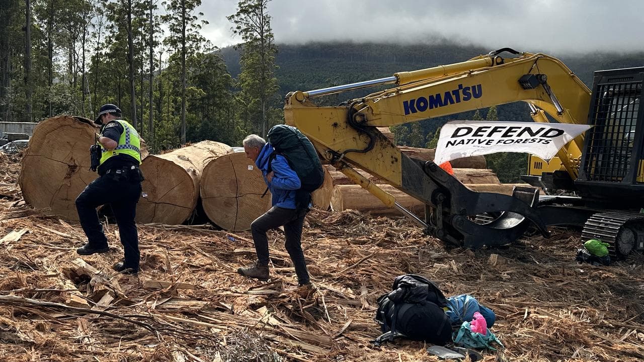 Bob Brown logging protest arrest.