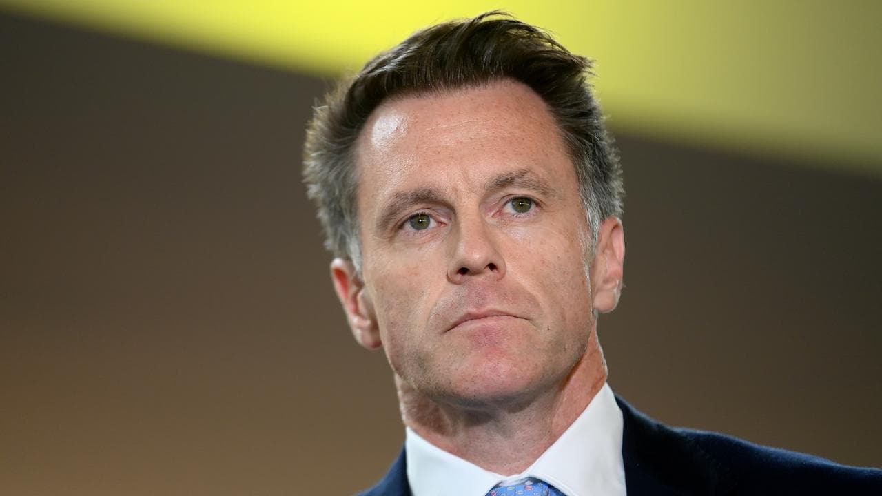 Chris Minns (file image)