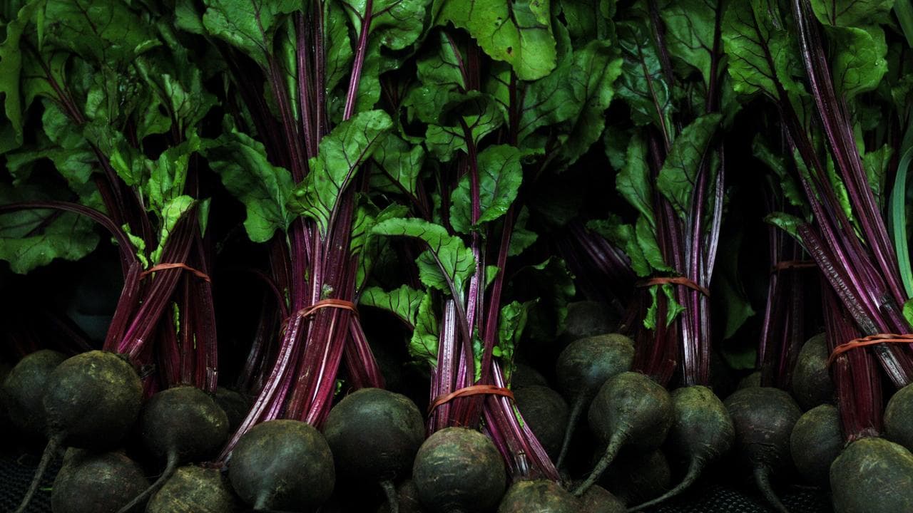 Beetroot plants (file image)
