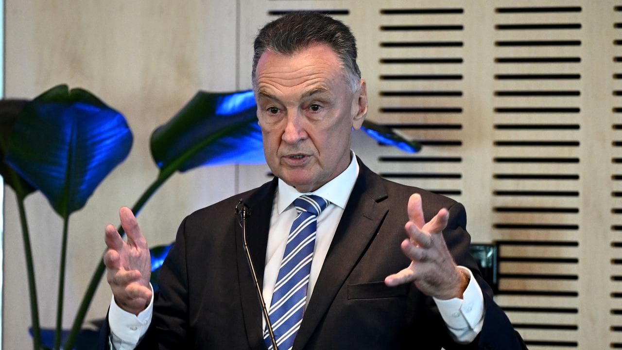 Former federal Labor MP Craig Emerson