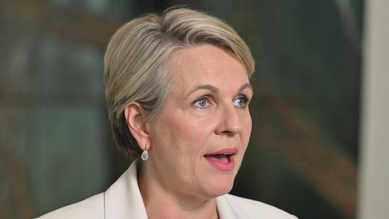 Tanya Plibersek (file)