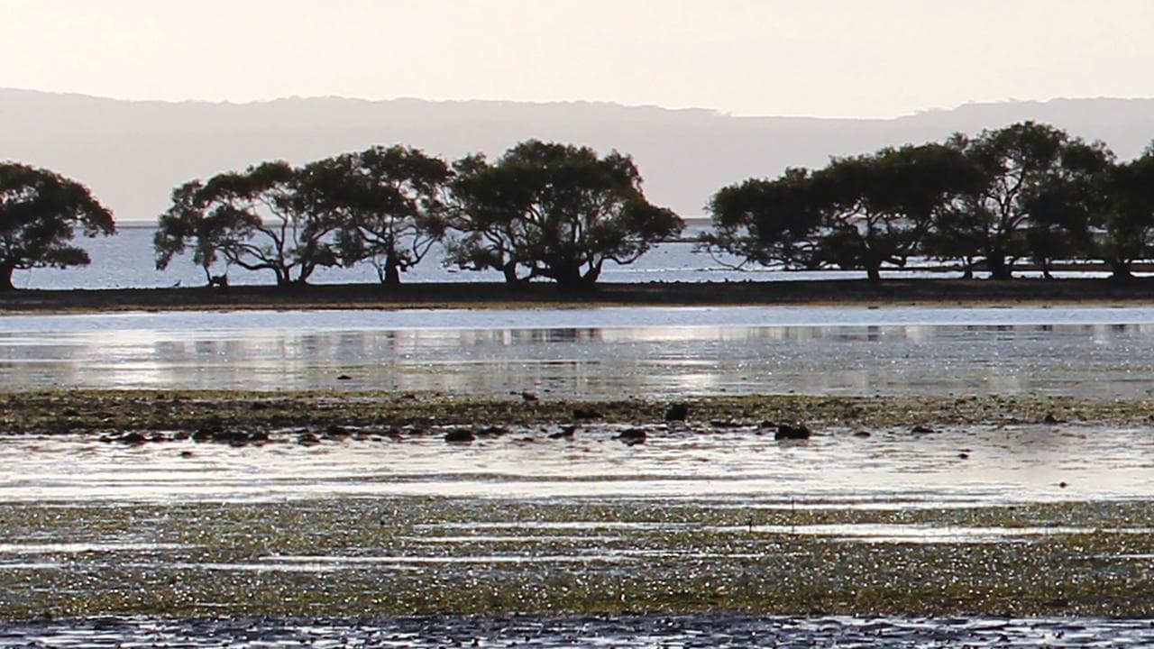 Cassim Island (file)