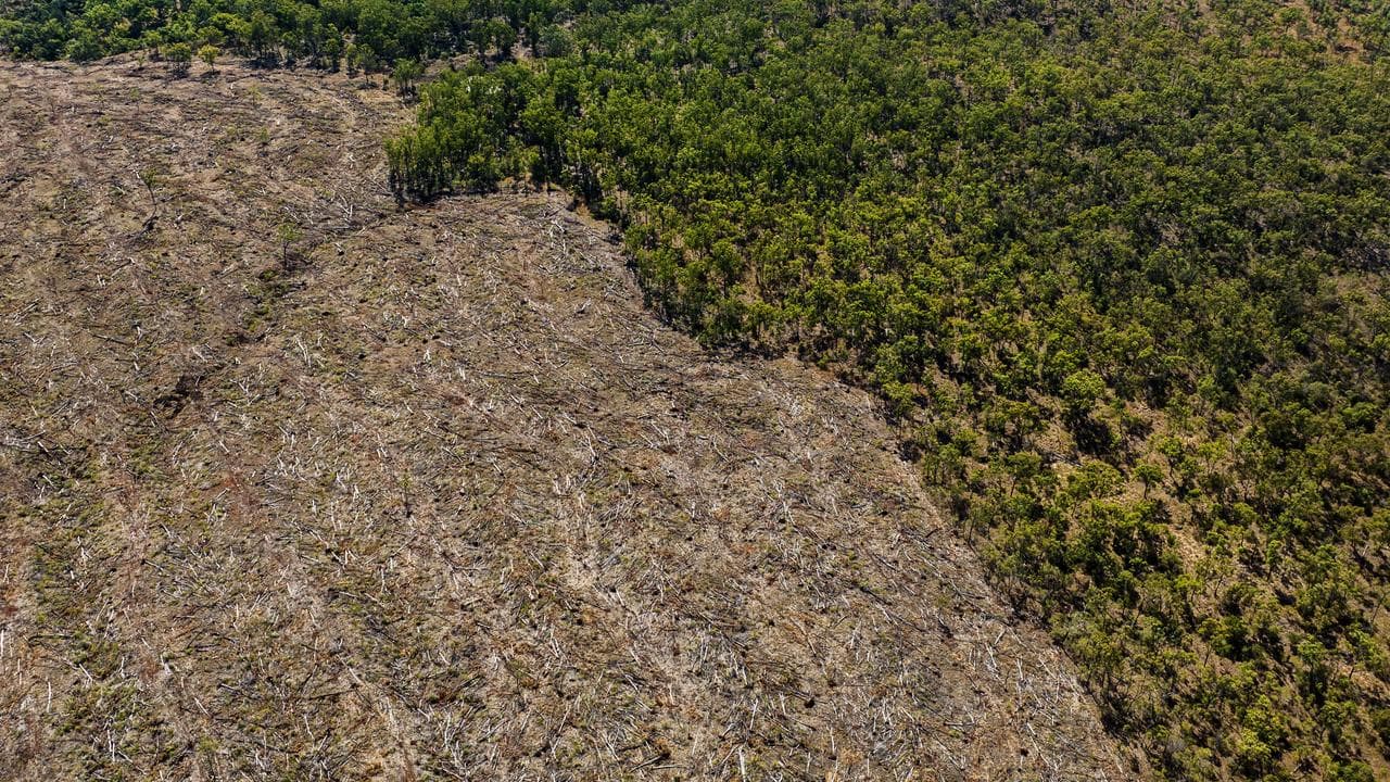 Deforestation in Queensland