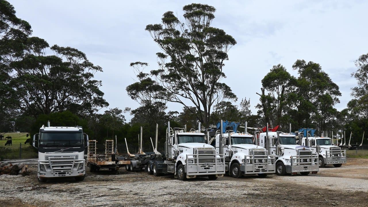 Forestry and grazing license revenue