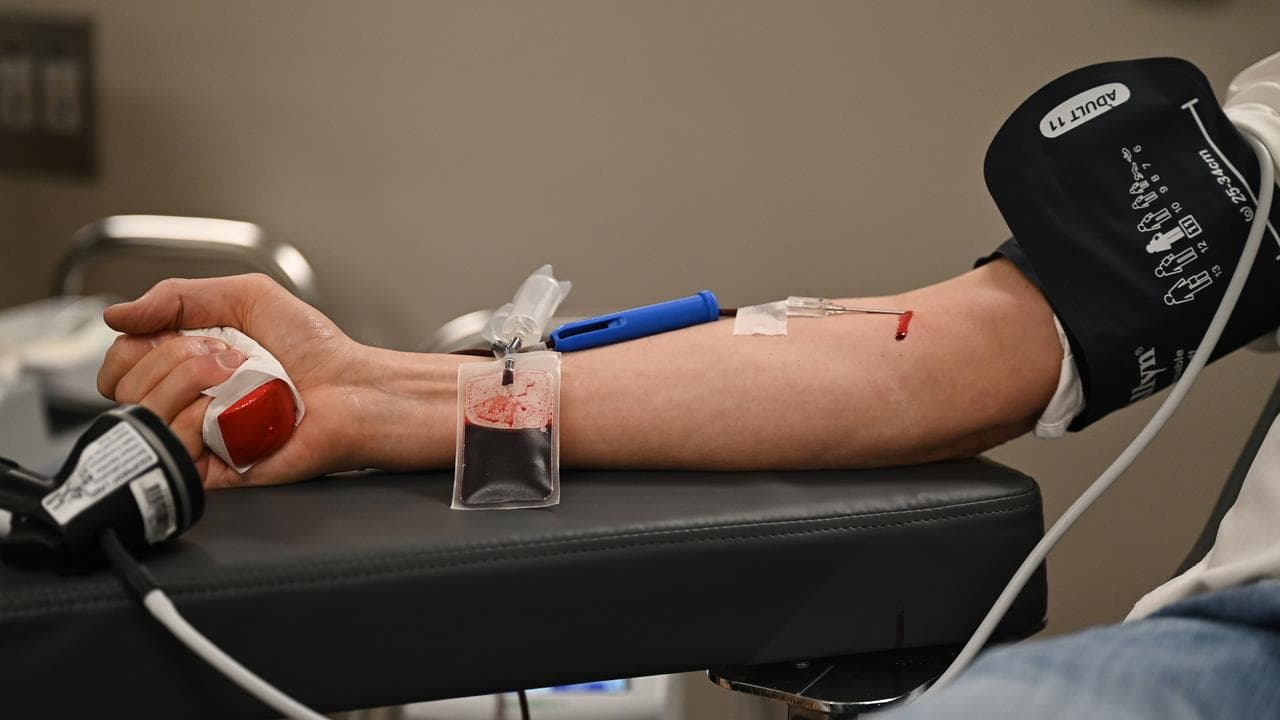 A person donating blood (file image)