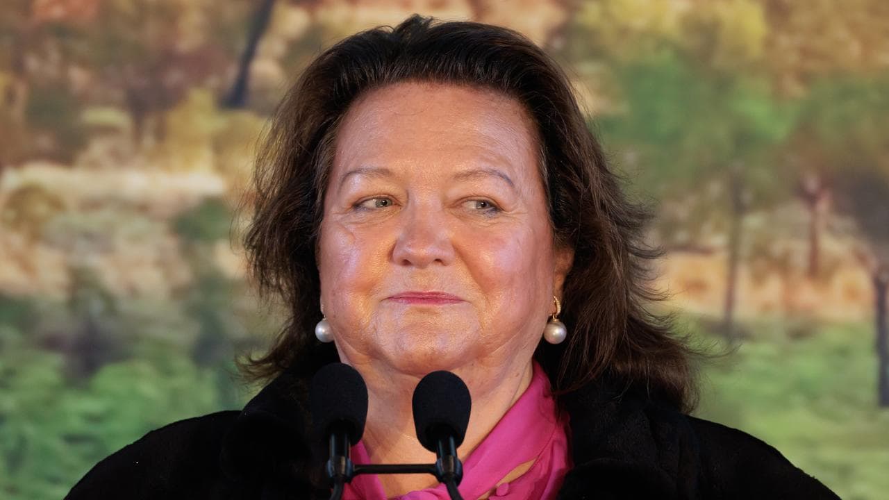 Gina Rinehart (file image)