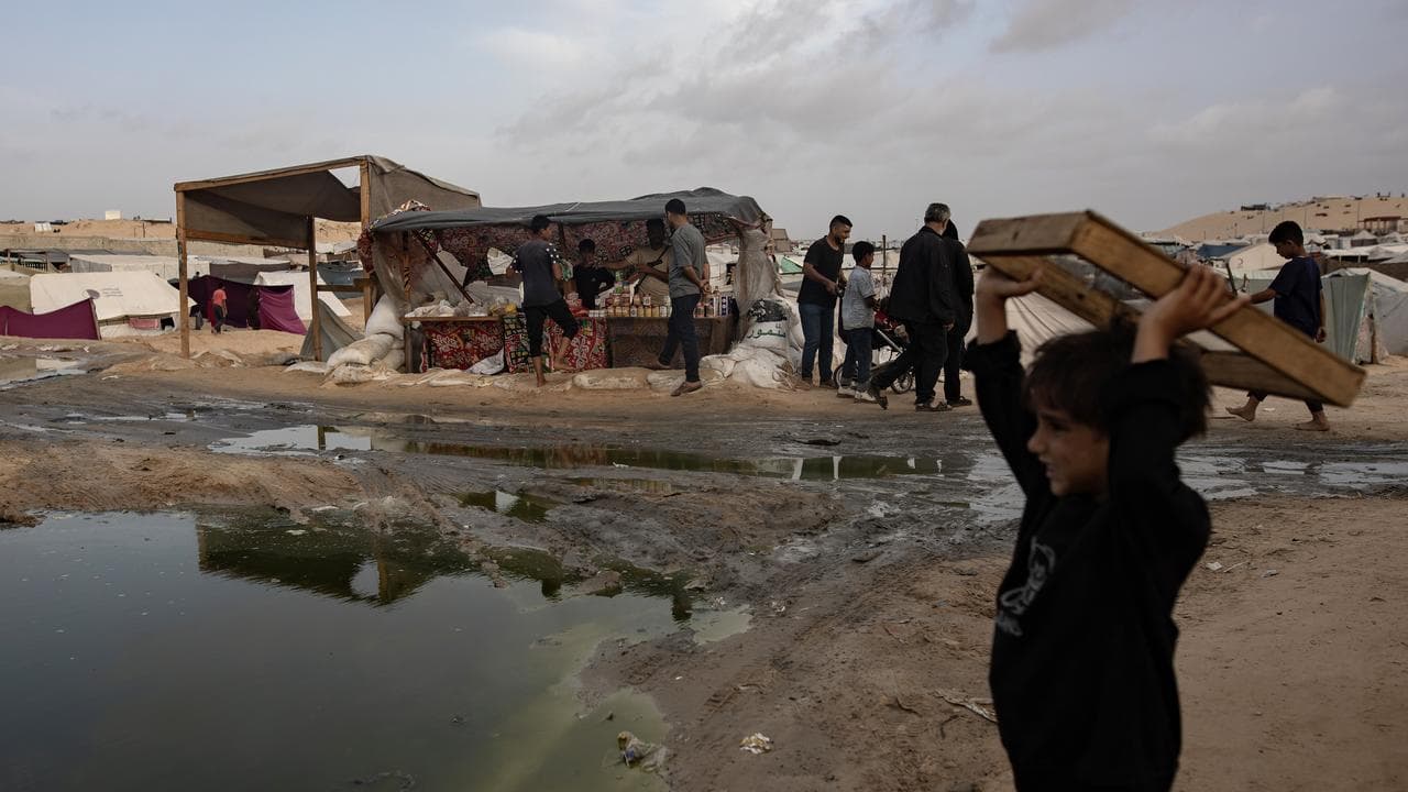 Internally displaced Palestinians in Rafah