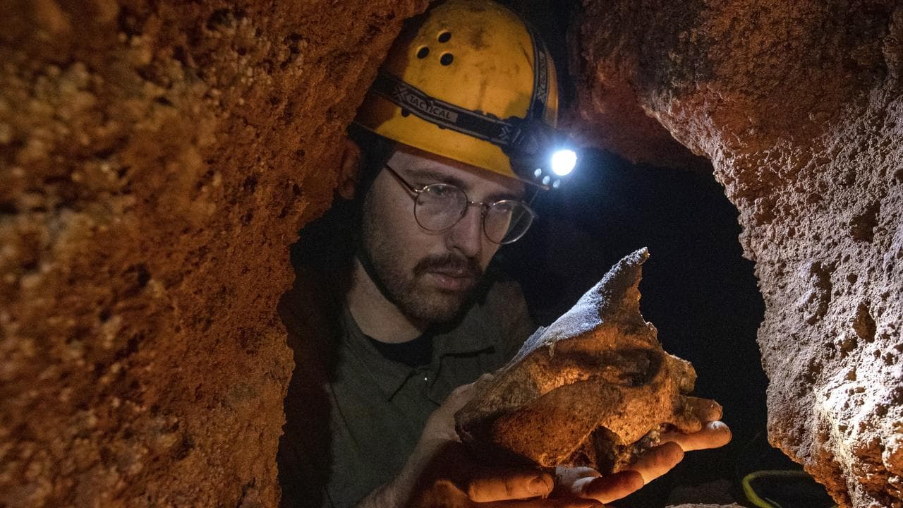 Tim Ziegler retrieving the bones of a short-faced kangaroo