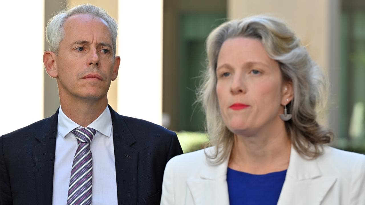 Andrew Giles and Clare O’Neil