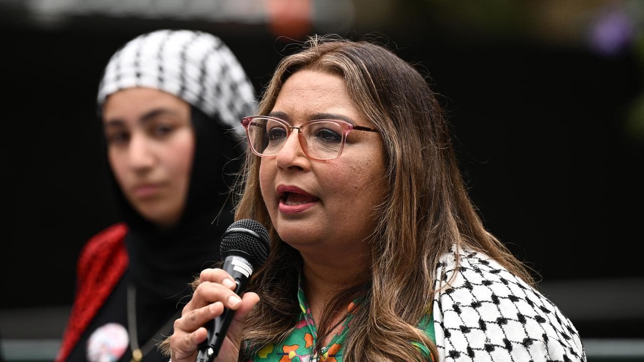 Greens Senator Mehreen Faruqi (file image)
