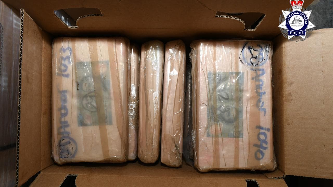 Cocaine allegedly disguised as frozen chicken products