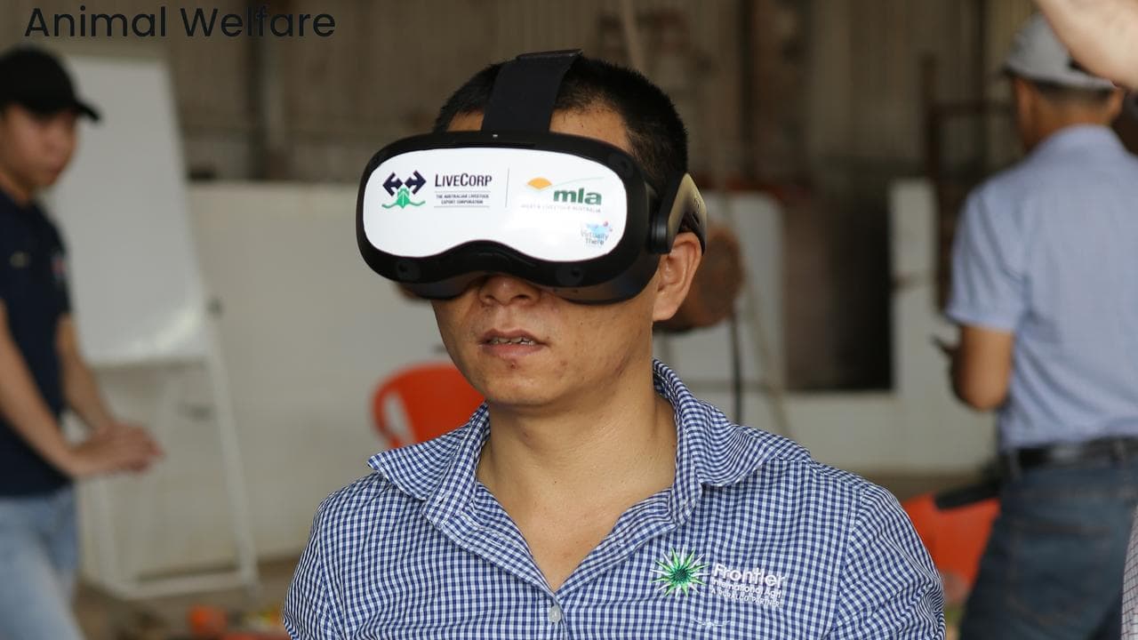 The latest training tool for abattoir workers is on show at Beef Week.