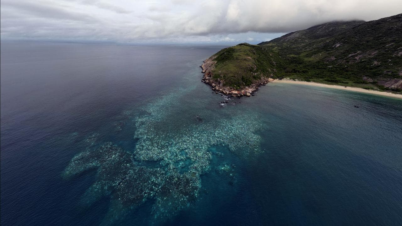 Coral bleaching visible off Lizard Island in the Great Barrier Reef.