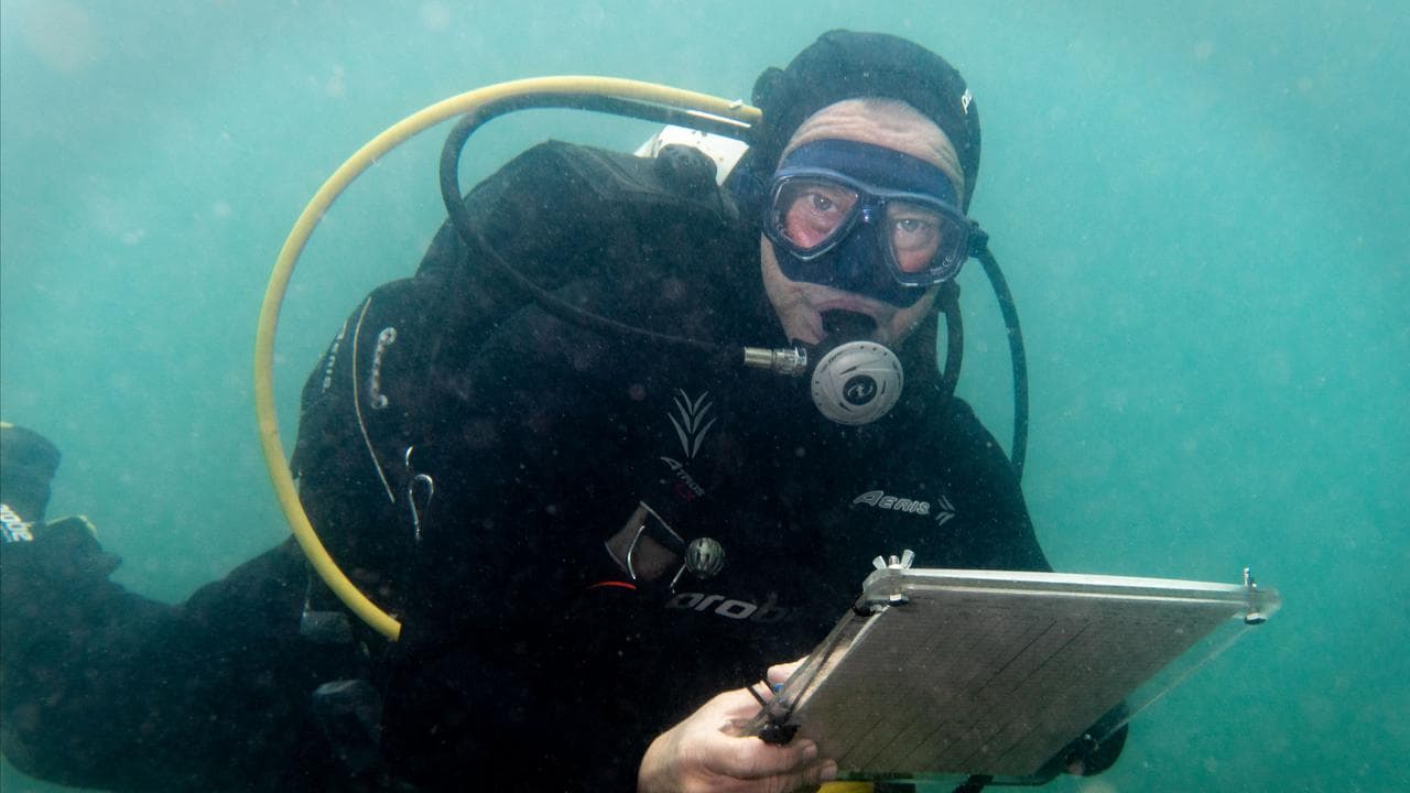 Marine ecologist John Turnbull says he can smell the decay of corals.