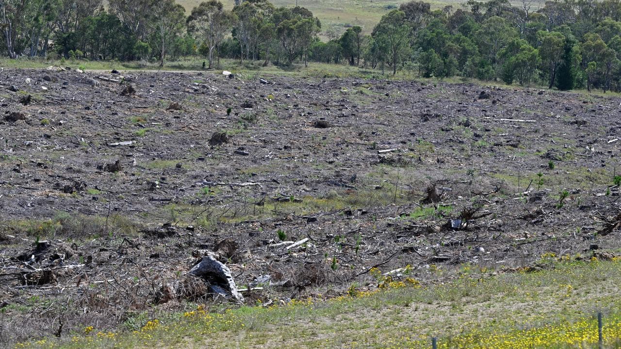Cleared grazing land in NSW.