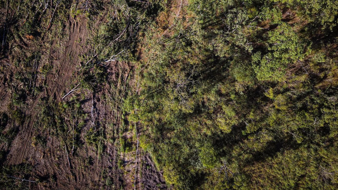 Land-clearing at Lee Point in Darwin