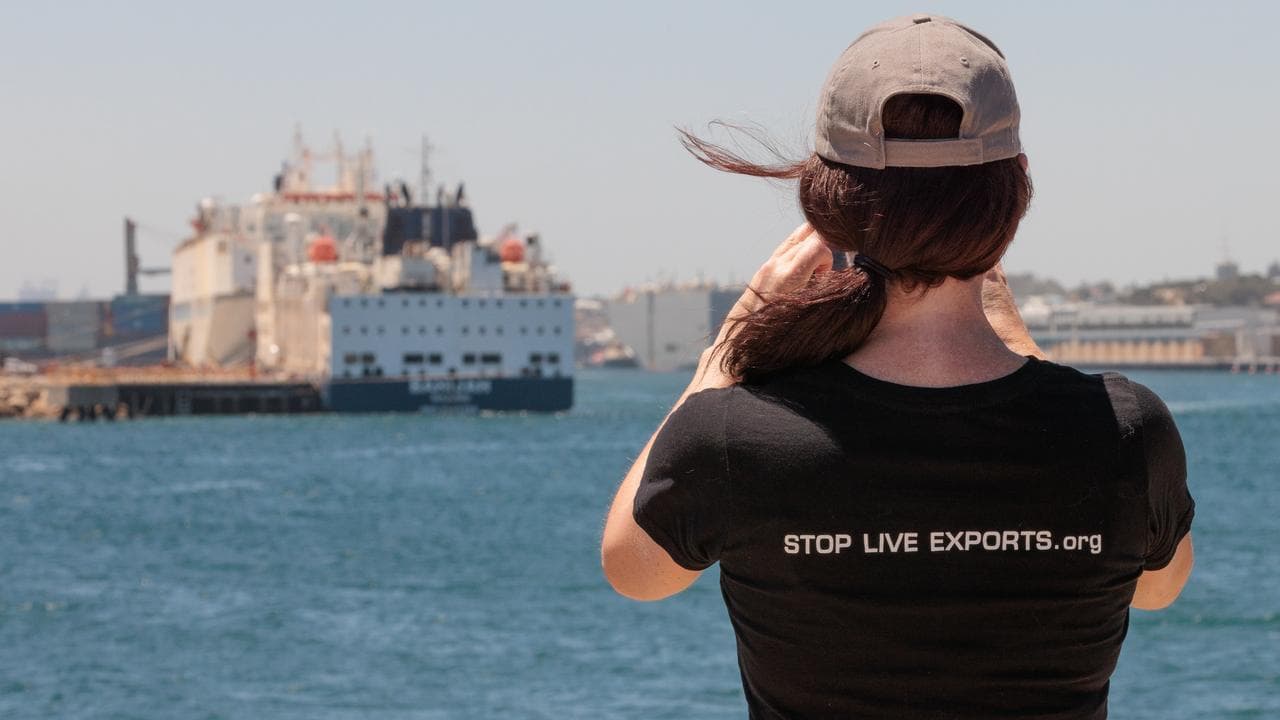 Live exports activist