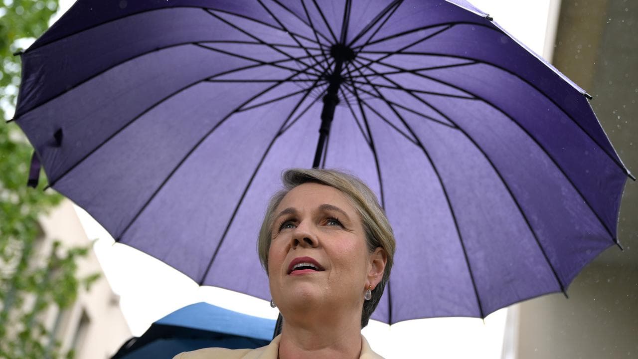 Environment Minister Tanya Plibersek