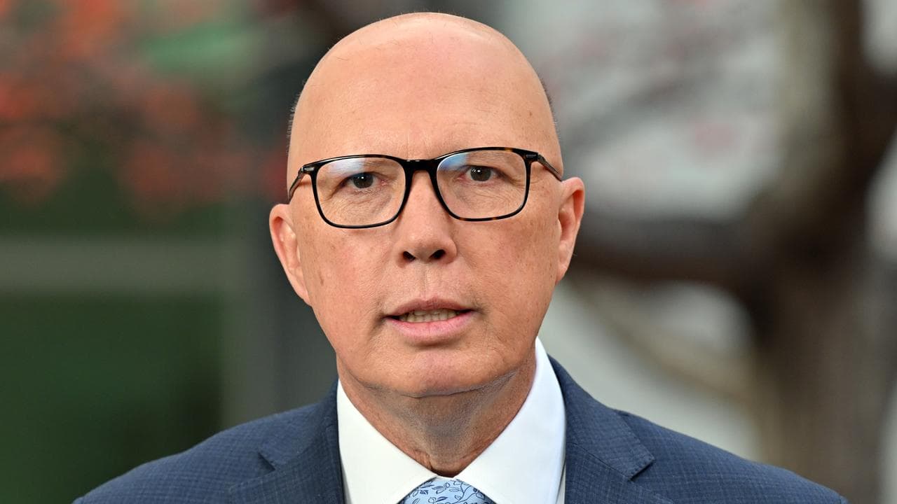 Opposition Leader Peter Dutton (file image)