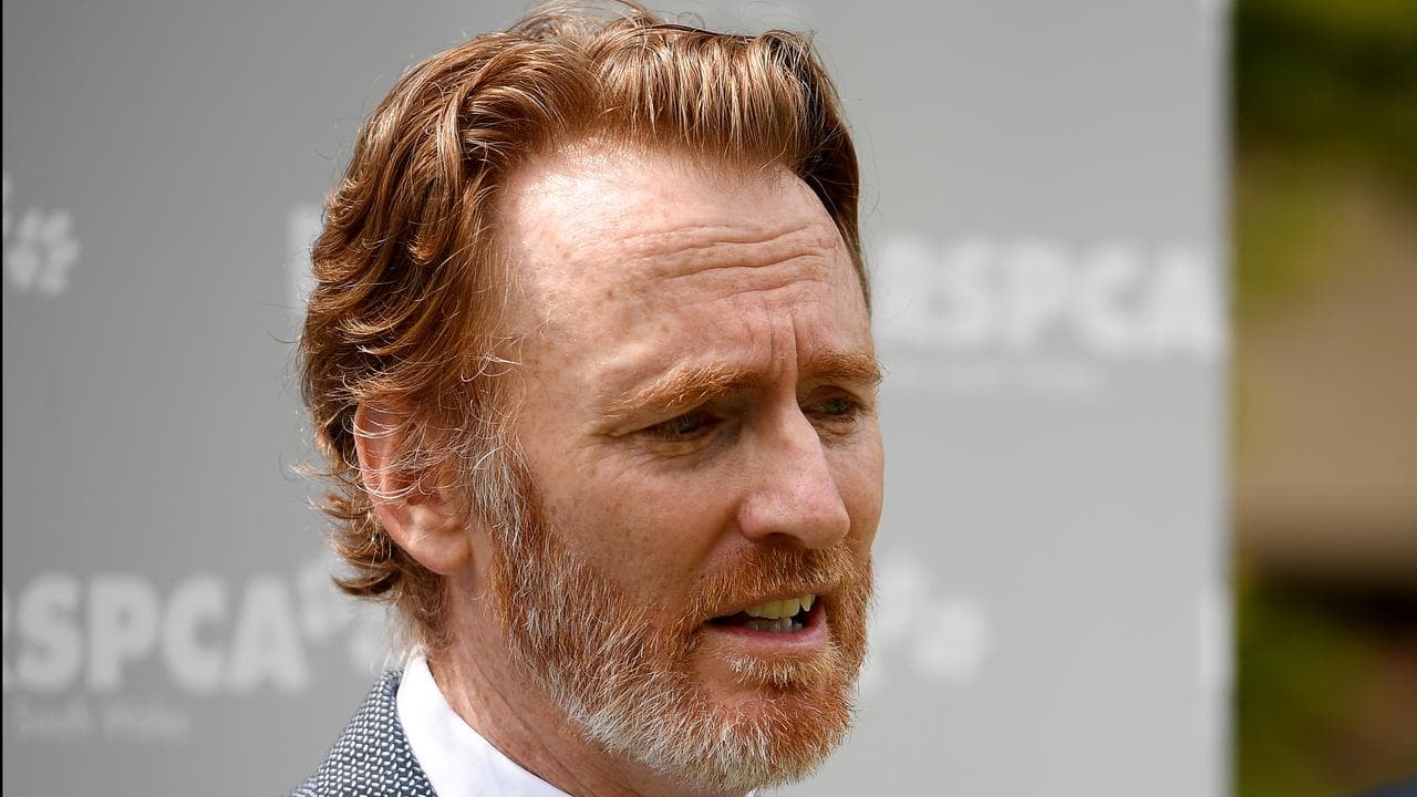 NSW RSPCA CEO Steven Coleman