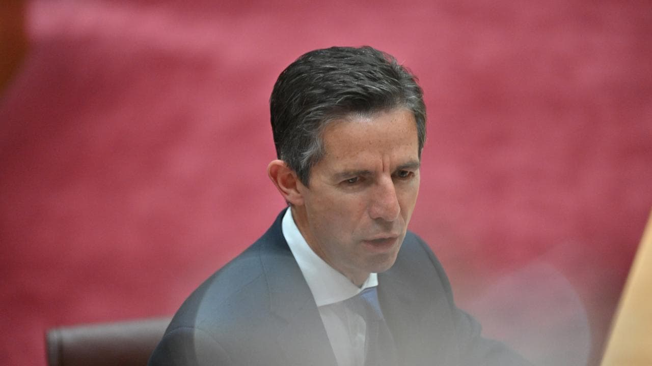 Shadow Minister for Foreign Affairs Simon Birmingham.