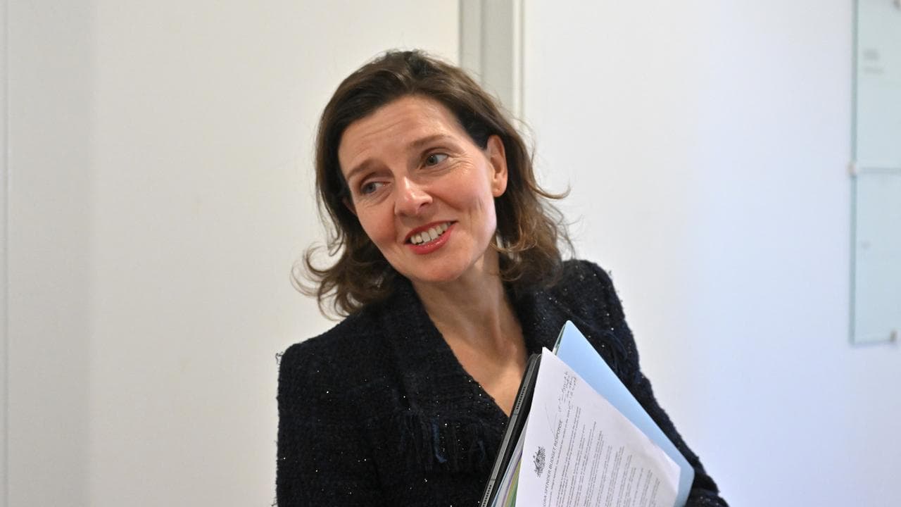 Independent MP Allegra Spender