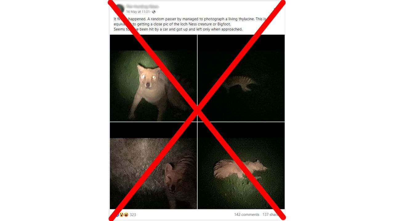Crossed out Facebook post claiming pictures of thylacine are real.