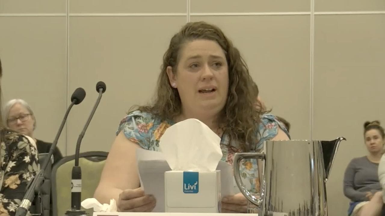 Naomi Bowden speaks at a NSW inquiry into birth trauma.