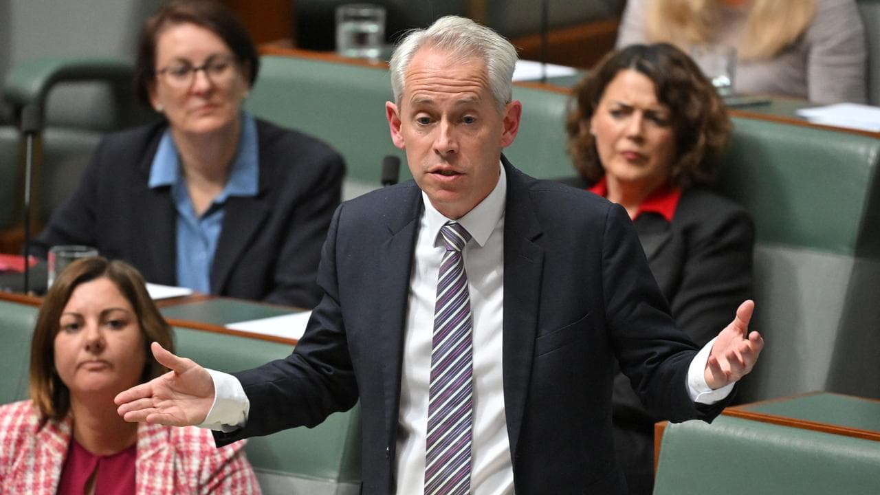 Minister for Immigration Andrew Giles in question time